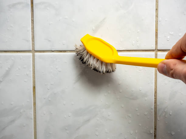 Best Mold Cleaning Services  in Auburn, CA