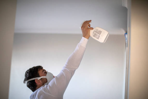 Attic Mold Removal in Auburn, CA