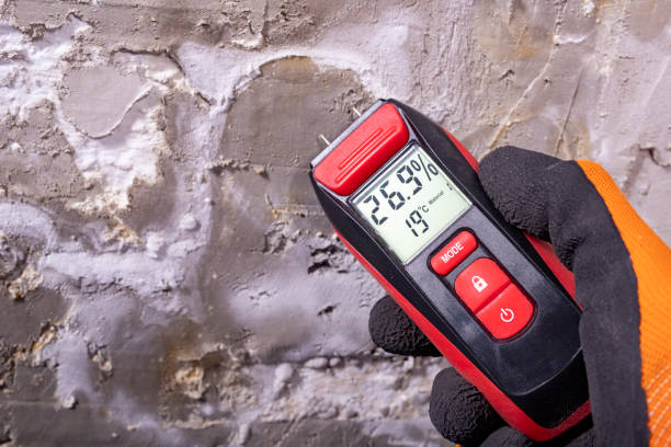 Best Local Mold Removal Service  in Auburn, CA