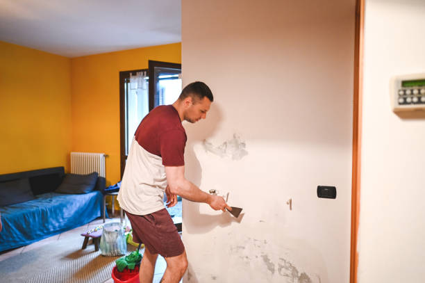 Best Toxic Mold Removal  in Auburn, CA